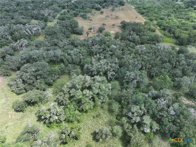 000 Bego Rd, Goliad, TX 77963 - photo 6