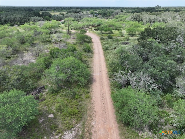 000 Bego Rd, Goliad, TX 77963 - photo 15