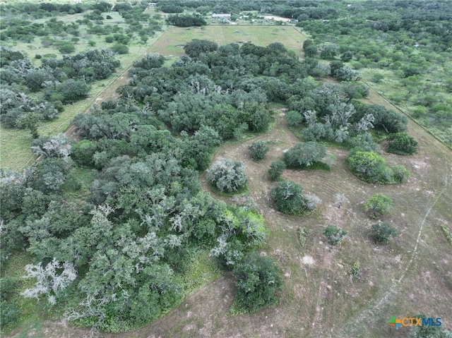 000 Bego Rd, Goliad, TX 77963 - photo 10