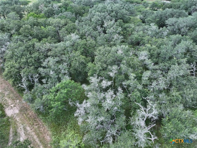 000 Bego Rd, Goliad, TX 77963 - photo 33