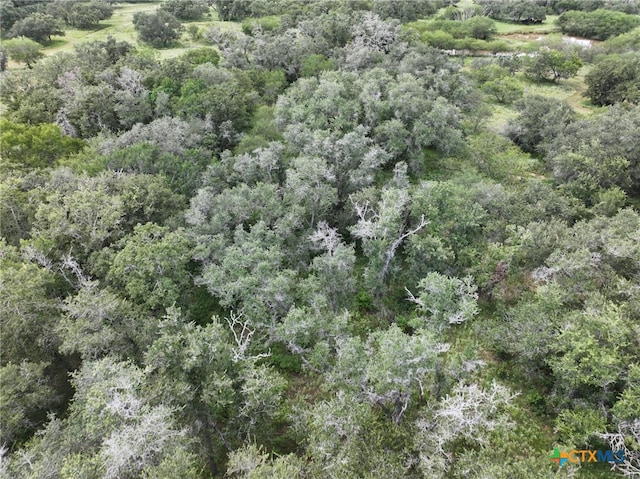 000 Bego Rd, Goliad, TX 77963 - photo 34