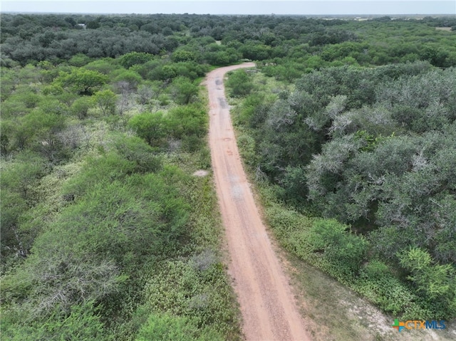 000 Bego Rd, Goliad, TX 77963 - photo 17