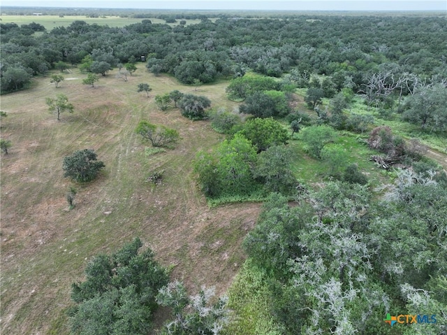 000 Bego Rd, Goliad, TX 77963 - photo 29