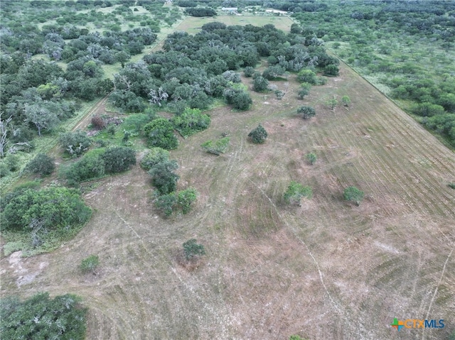 000 Bego Rd, Goliad, TX 77963 - photo 9