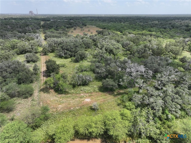 000 Bego Rd, Goliad, TX 77963 - photo 4