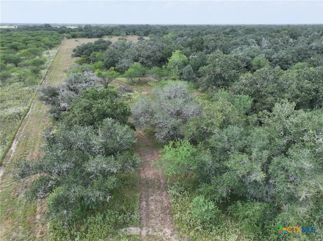 000 Bego Rd, Goliad, TX 77963 - photo 24