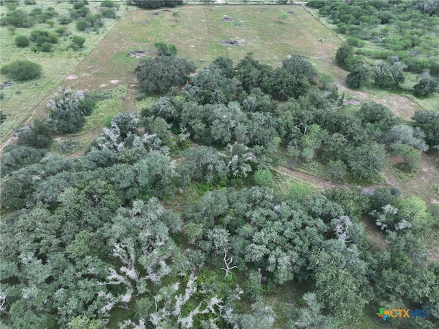 000 Bego Rd, Goliad, TX 77963 - photo 12