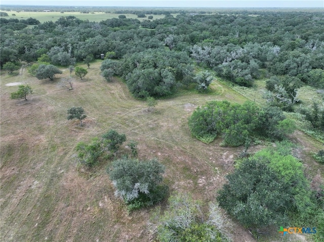 000 Bego Rd, Goliad, TX 77963 - photo 30