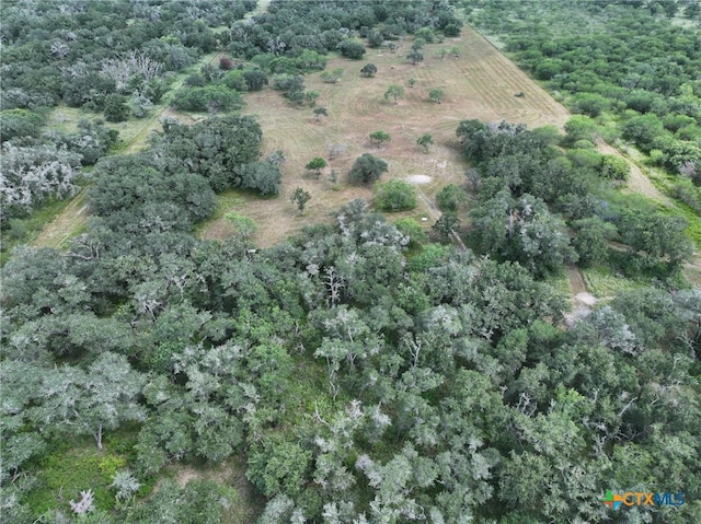000 Bego Rd, Goliad, TX 77963 - photo 7