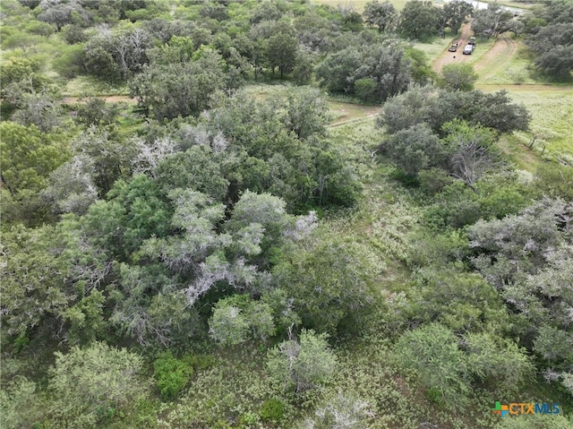 000 Bego Rd, Goliad, TX 77963 - photo 36