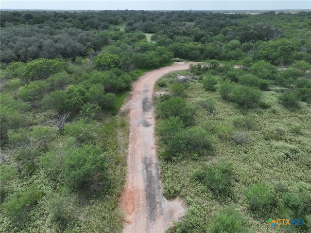 000 Bego Rd, Goliad, TX 77963 - photo 18