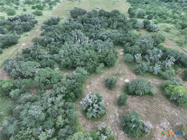 000 Bego Rd, Goliad, TX 77963 - photo 11