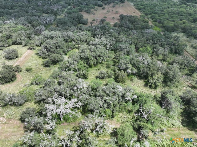 000 Bego Rd, Goliad, TX 77963 - photo 5