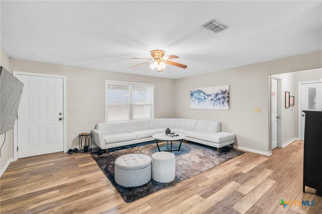 394 Navidad, Vanderbilt, TX 77991 - photo 6
