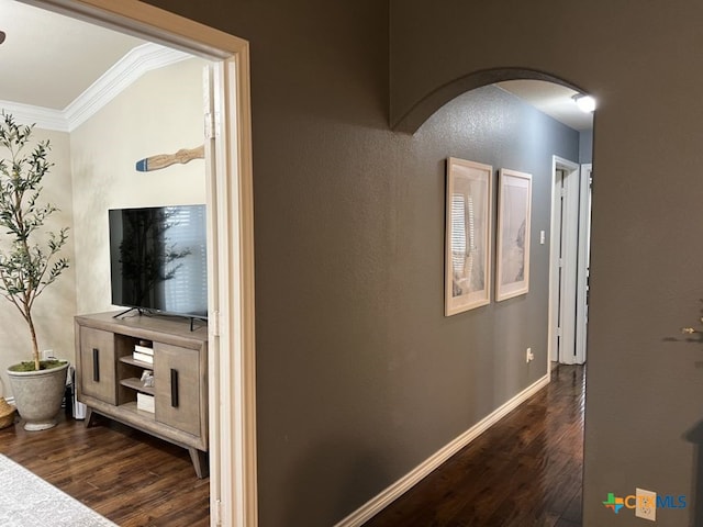 corridor with dark hardwood / wood-style floors and ornamental molding