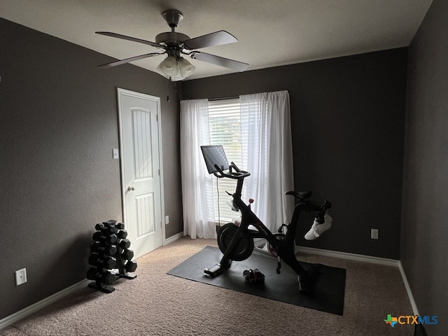 exercise area with ceiling fan and carpet