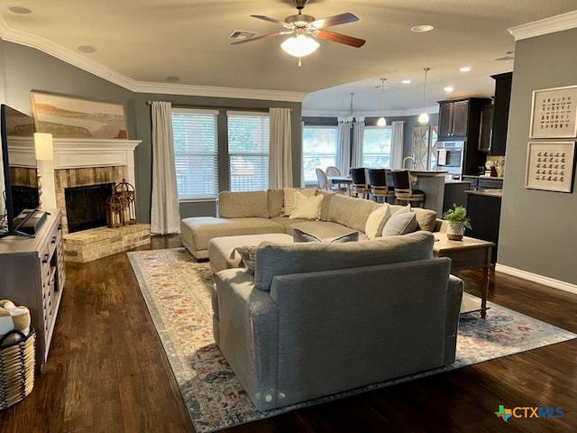 living room featuring a fireplace, ceiling fan with notable chandelier, dark hardwood / wood-style floors, and crown molding