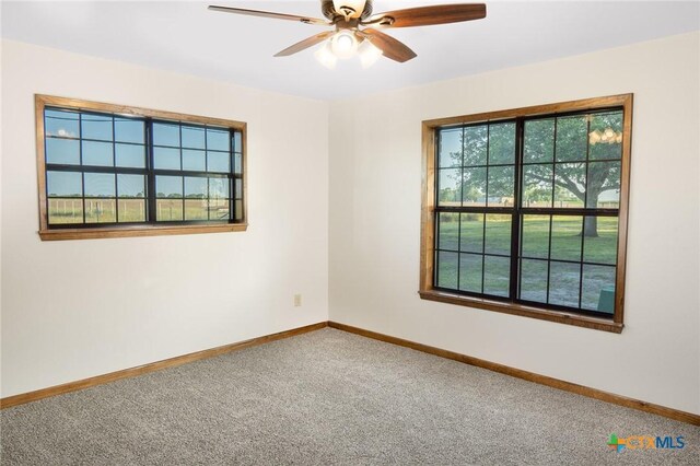 full bathroom featuring vanity, ceiling fan, and a stall shower