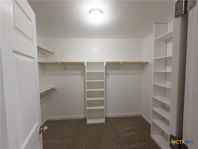 walk in closet featuring dark colored carpet