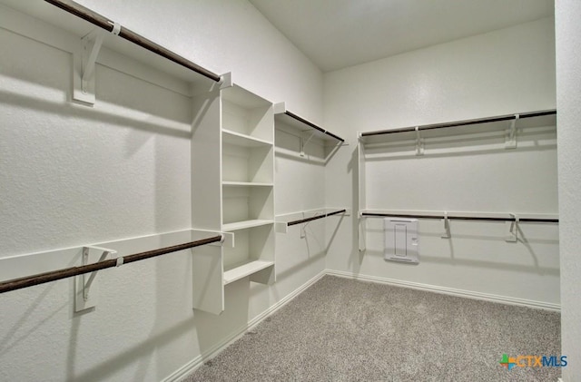 2055 Stephanie Ave, New Braunfels, TX 78132 - spacious closet featuring carpet flooring