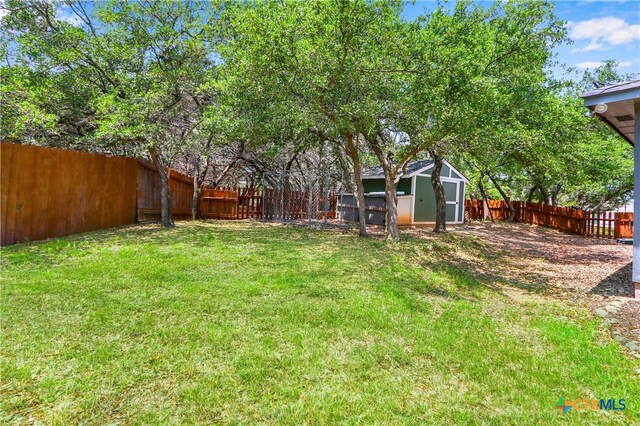 view of yard featuring a storage unit