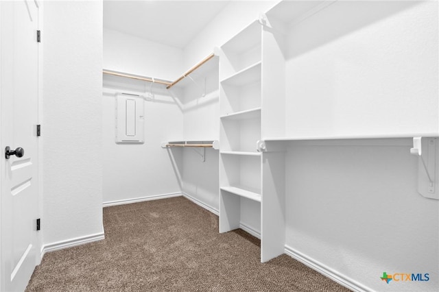 walk in closet featuring electric panel and dark carpet