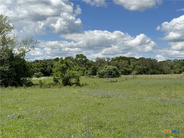 TBD-LOT4 County Road 222, Schulenburg, TX 78956