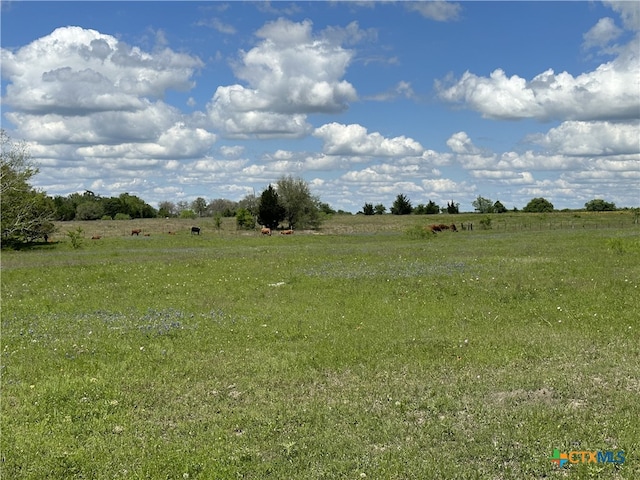 TBD-LOT4 County Road 222, Schulenburg, TX 78956