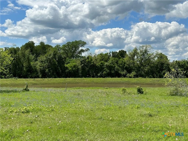 TBD-LOT4 County Road 222, Schulenburg, TX 78956