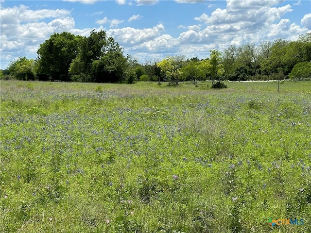 TBD-LOT4 County Road 222, Schulenburg, TX 78956