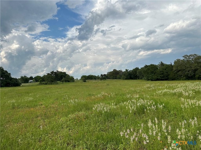 TBD-LOT4 County Road 222, Schulenburg, TX 78956