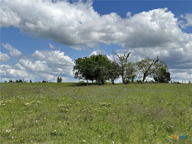 TBD-LOT4 County Road 222, Schulenburg, TX 78956