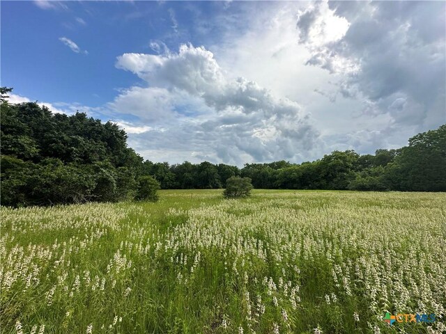 TBD-LOT4 County Road 222, Schulenburg, TX 78956