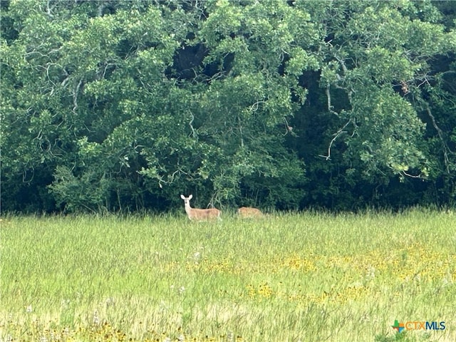 TBD-LOT4 County Road 222, Schulenburg, TX 78956