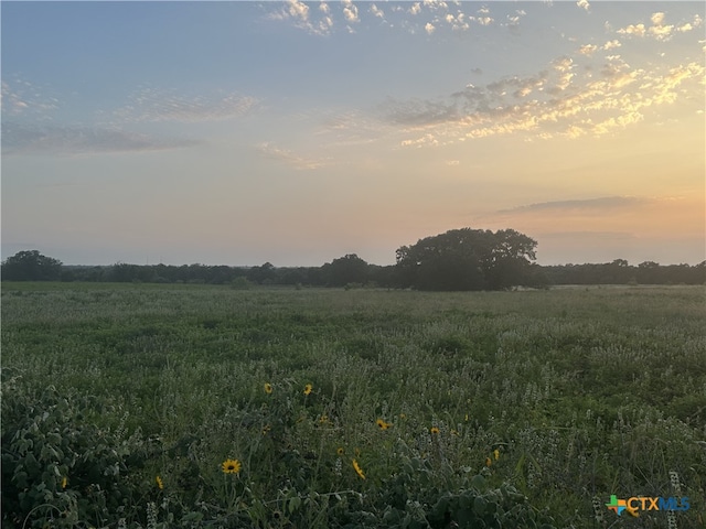 TBD-LOT4 County Road 222, Schulenburg, TX 78956