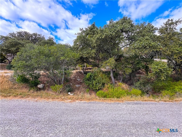 Listing photo 3 for 1510 Trailridge Dr, Canyon Lake TX 78133