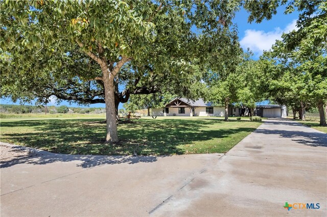 ranch-style house featuring a front yard