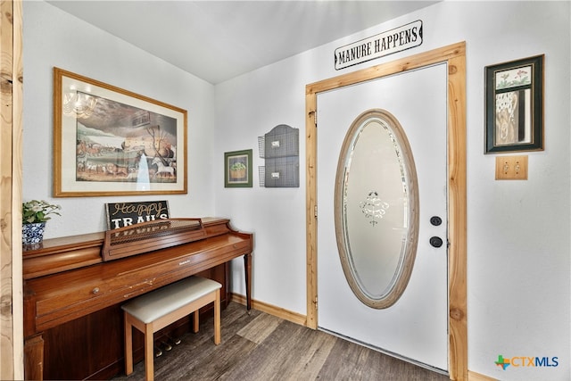 entrance foyer with dark wood-type flooring