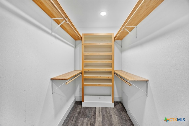 walk in closet featuring dark wood-type flooring