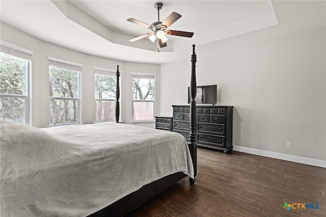 3256 Province Pt, Harker Heights, TX 76548 - bedroom featuring a raised ceiling, dark wood-style floors, and ceiling fan