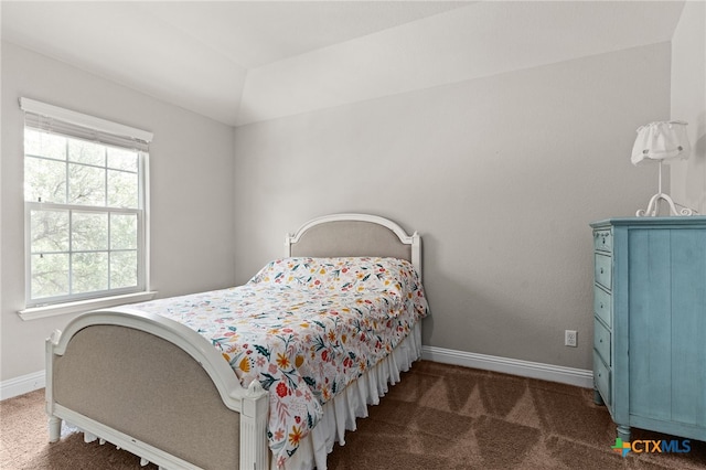 3256 Province Pt, Harker Heights, TX 76548 - bedroom with carpet and vaulted ceiling