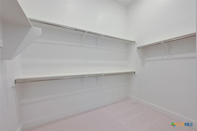 264 Five Mile Creek Way, Kyle, TX 78640 - spacious closet with light colored carpet