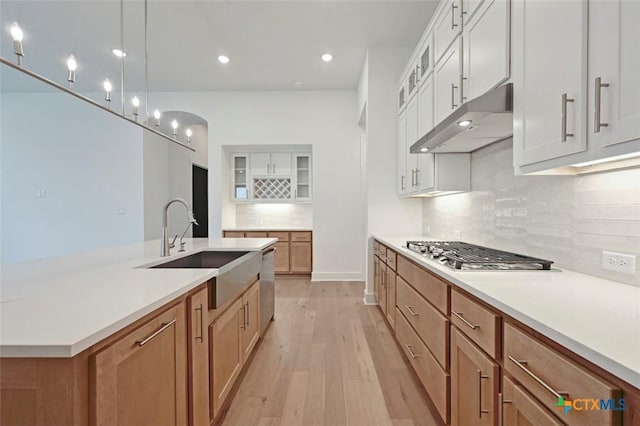 264 Five Mile Creek Way, Kyle, TX 78640 - kitchen featuring under cabinet range hood, a sink, appliances with stainless steel finishes, light wood-style flooring, and decorative backsplash