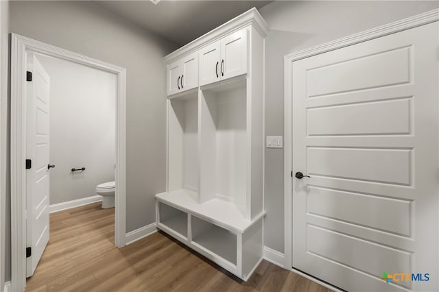 mudroom with wood-type flooring