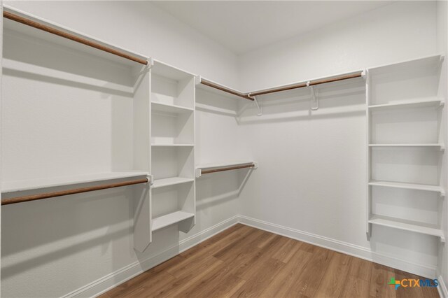 spacious closet with wood-type flooring