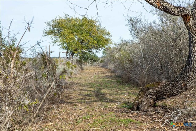 000 Mineral Cemetary, Beeville, TX 78102
