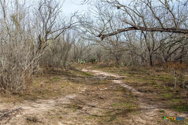 000 Mineral Cemetary, Beeville, TX 78102