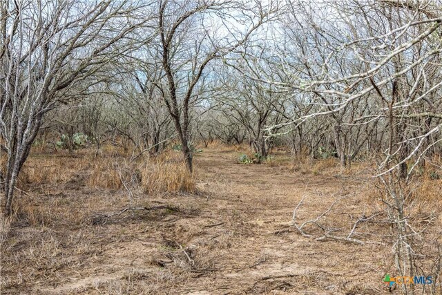000 Mineral Cemetary, Beeville, TX 78102