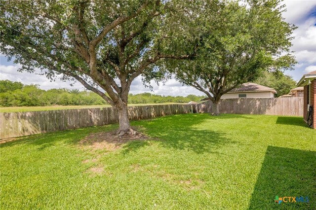 301 Deerchase, Victoria, TX 77901 - view of yard