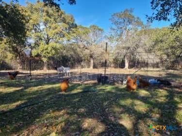627 County Road 3376, Kempner, TX 76539 - photo 26